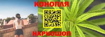 ALPHA PVP Гатчина