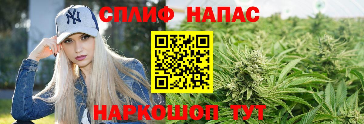 Гагарин  Бошки Шишки AK-47  Канабис сатива  Вход с VPN 